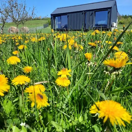 Arnikowa Widokowka *