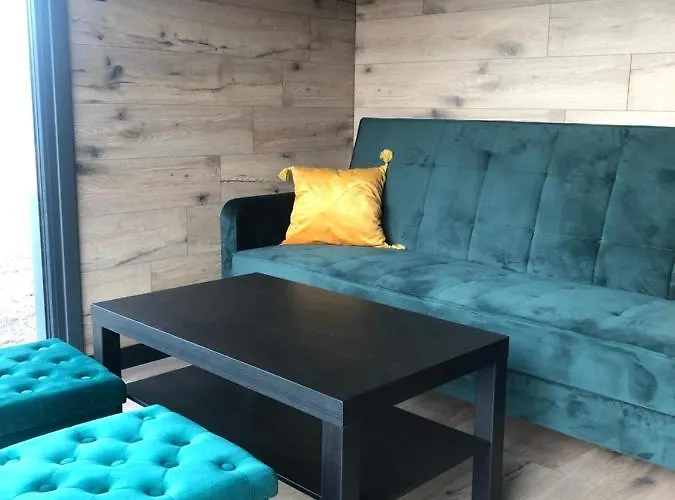 Arnikowa Widokówka *