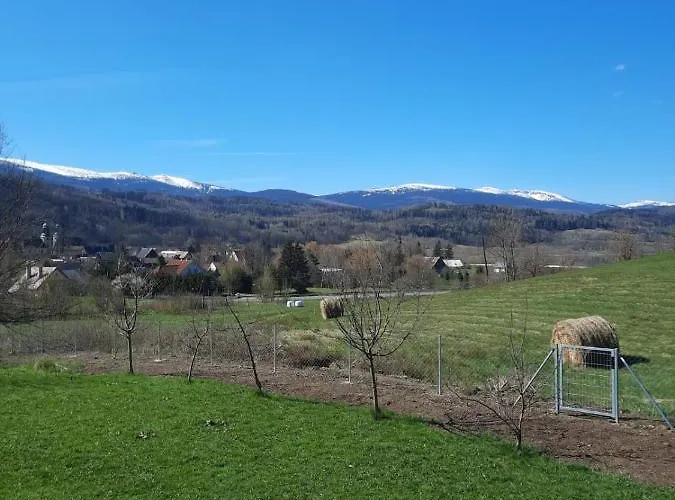 Arnikowa Widokowka * Sosnowka (Jelenia Gora)